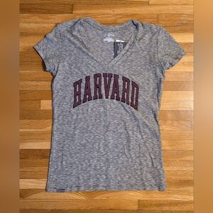 Harvard Women's Large Gray V-Neck Top New With Tags